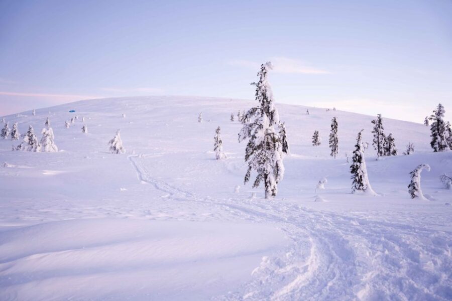 Levi: Backcountry Skiing Adventure - The Experience in Detail