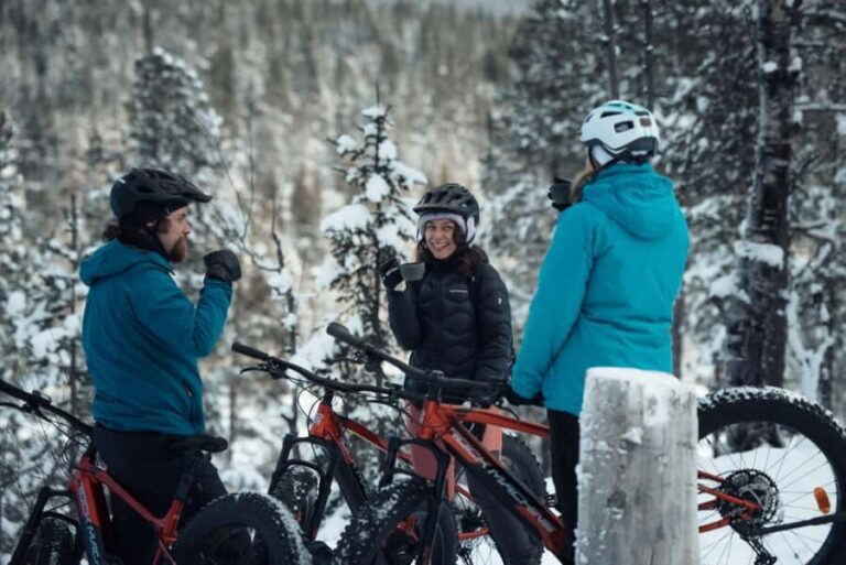 Levi: E-Fatbike Adventure in Snowy Forest - Practical Details