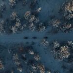 Levi: E-Fatbike Adventure to Find the Northern Lights - Practical Considerations