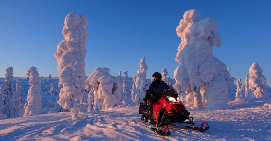 Levi: Evening Snowmobile Safari - Northern Lights and Weather Conditions