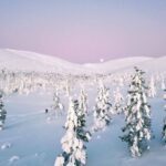 Levi: Explore the Wilderness - The Itinerary: What Should You Expect?