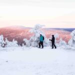 Levi: Guided Snowshoeing Adventure - What to Expect During the Tour