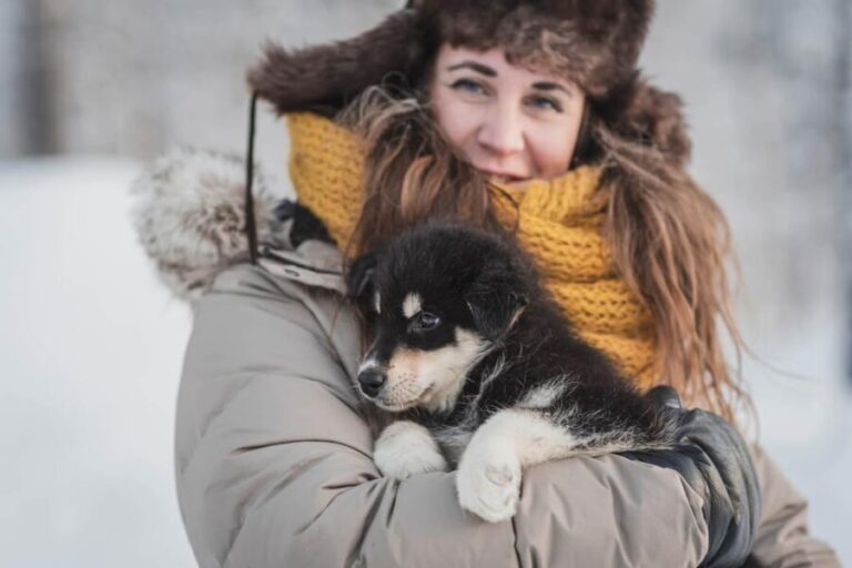 Levi: Horse and Husky Farm Visit with Juice and Cookies - The Itinerary in Detail