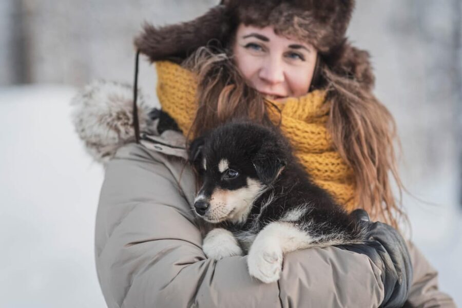 Levi: Horse and Husky Farm Visit with Juice and Cookies - The Itinerary in Detail
