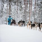 Levi: Husky and Reindeer Farm Tour with Sled Ride - Who Should Consider This Tour?