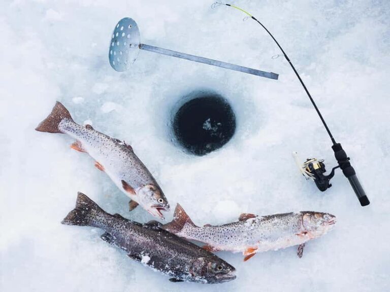 Levi: Ice Fishing Experience with Hot Drink - The Cultural and Scenic Value