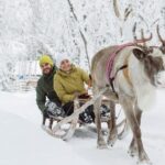 Levi: Lapland Reindeer and Husky Safari - Who Is This Tour Best For?