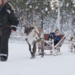 Levi: Lappish Reindeer Sled Ride 3 km - Comfort, Food, and Additional Details