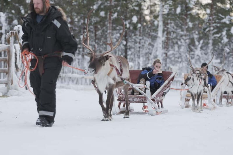 Levi: Lappish Reindeer Sled Ride 3 km - Comfort, Food, and Additional Details