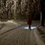 Levi: Northern Lights Kick Sled Tour with Reindeer Visit - Key Points