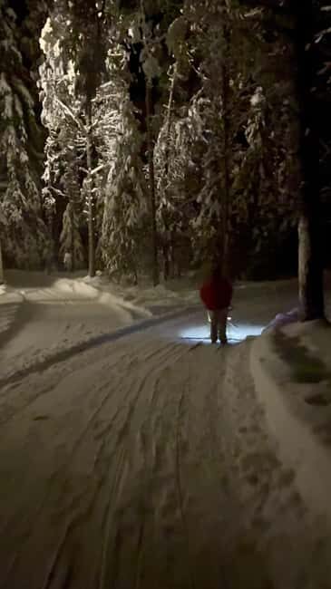 Levi: Northern Lights Kick Sled Tour with Reindeer Visit - Key Points