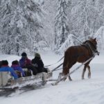 Levi: One Horse Open Sleigh Ride - The Itinerary Breakdown