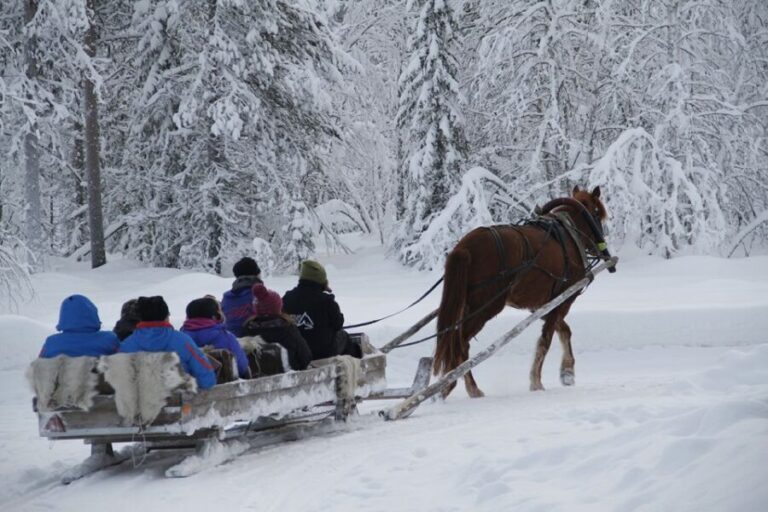 Levi: One Horse Open Sleigh Ride - The Itinerary Breakdown