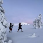 Levi: Pallas-Yllästunturi National Park Snowshoeing Tour - The Details That Make This Tour Stand Out