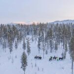 Levi: Riding Trek with Icelandic Horses - What Makes This Horse Trek Stand Out?