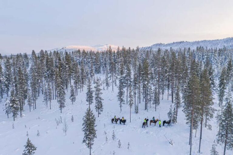Levi: Riding Trek with Icelandic Horses - What Makes This Horse Trek Stand Out?