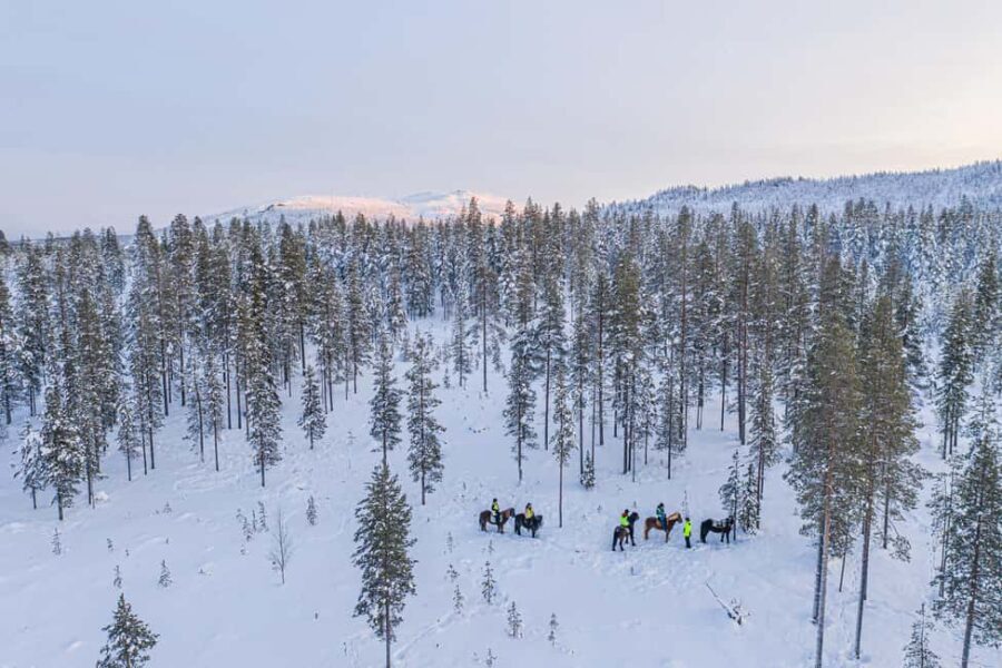Levi: Riding Trek with Icelandic Horses - What Makes This Horse Trek Stand Out?