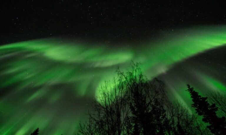 Levi: Search for Northern Lights in snowmobile sleigh - Who This Tour Is Perfect For