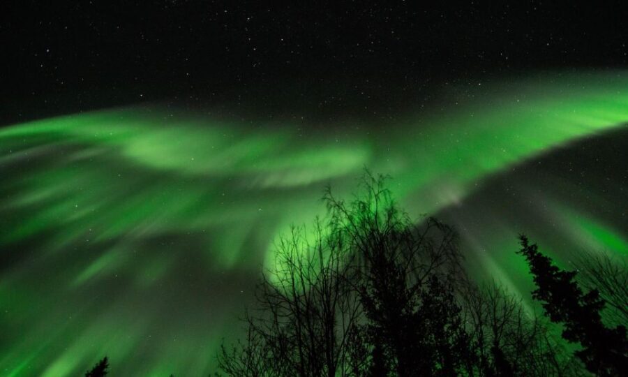 Levi: Search for Northern Lights in snowmobile sleigh - Who This Tour Is Perfect For