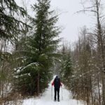 Levi: Snowshoe Survival Experience - The Itinerary Breakdown