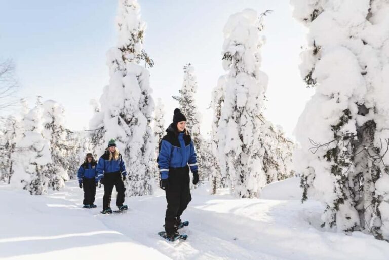 Levi: Snowshoeing Adventure with warm Drinks - The Value of This Experience
