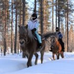 Levi: Snowy Forest Ride and Polar Lights Tours - Key Points