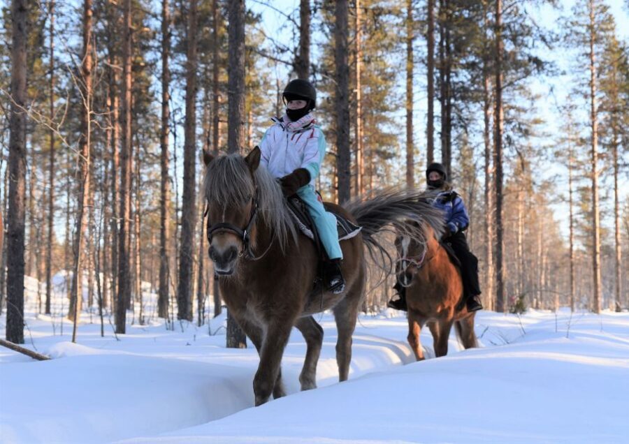 Levi: Snowy Forest Ride and Polar Lights Tours - Key Points