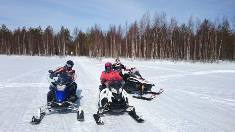 Levi: Winter Highlights Tour with Snowmobiling - Practical Considerations