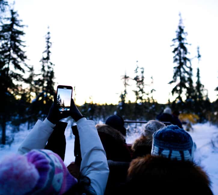 Levi: Winter Wilderness Husky & Reindeer Safari Combo Tour - Insights from Travelers