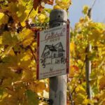 Lieser: covered wagon ride, the rolling wine tasting with picnic basket - Final Thoughts: Who Should Consider This Tour?