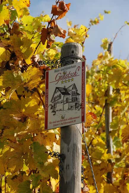 Lieser: covered wagon ride, the rolling wine tasting with picnic basket - Final Thoughts: Who Should Consider This Tour?