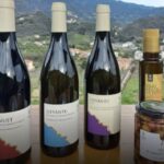 Lievàntu Wine Experience: Tour & tasting in Levanto Valley - The Itinerary — What You’ll See and Do