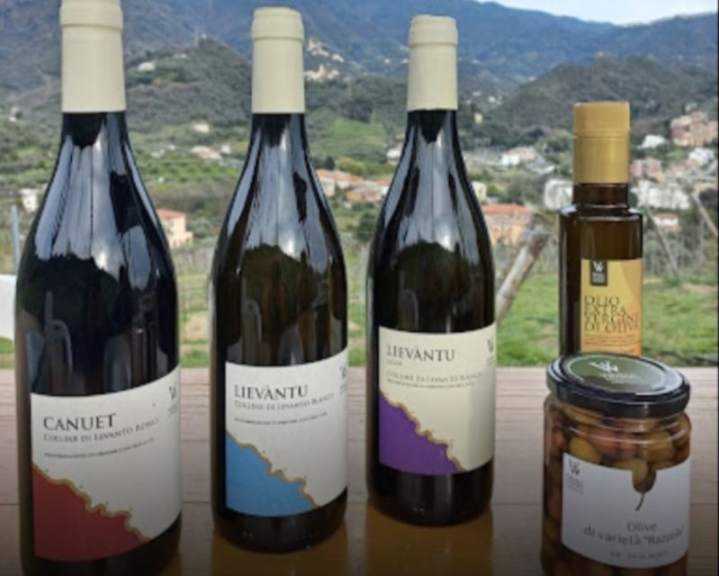 Lievàntu Wine Experience: Tour & tasting in Levanto Valley - The Itinerary — What You’ll See and Do