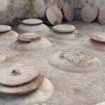 Lifestyle of The Ancient Rich: Domus & Villa in Pompeii, Oplontis and Boscoreale - Boscoreale and Its Organic Legacy