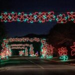 LIghts of Joy Christmas Light Drive-Thru - Is It Worth the Price?