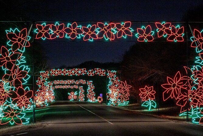 LIghts of Joy Christmas Light Drive-Thru - Is It Worth the Price?