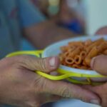 Linea isola di Palmarola - The Itinerary in Detail