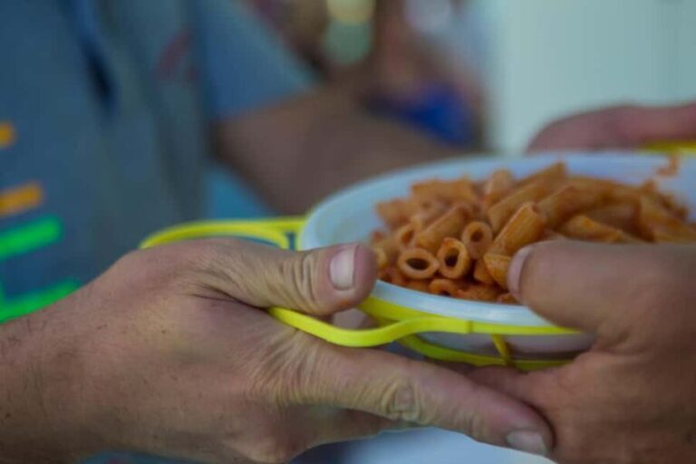 Linea isola di Palmarola - The Itinerary in Detail