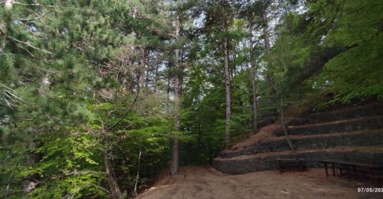 Linguaglossa: North Etna Guided Forest Walking Tour - Itinerary Breakdown