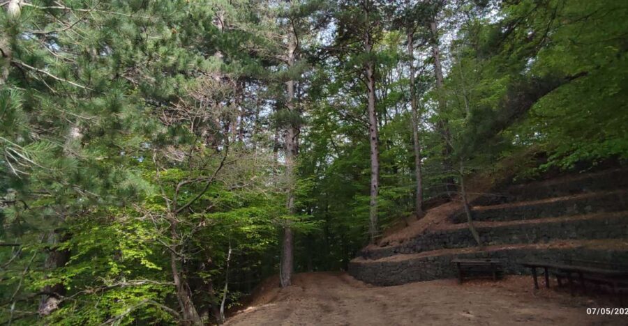 Linguaglossa: North Etna Guided Forest Walking Tour - Itinerary Breakdown