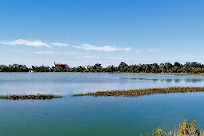 Lio Piccolo: Flamingos & Birdwatching Bike Tour in the Lagoon - Authentic Traveler Perspectives