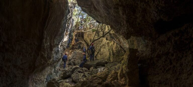 Lisbon: Adventure Circuit, Arrábida Park, Setubal, Sesimbra - What to Expect from Your Adventure