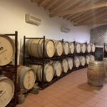 Lisbon Area Wine Tour - Practical Details and What You Should Know