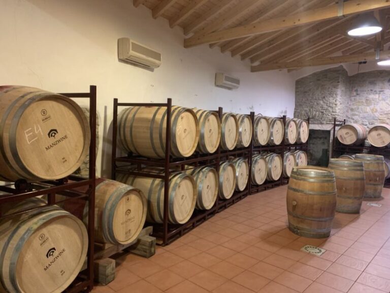 Lisbon Area Wine Tour - Practical Details and What You Should Know