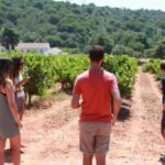 Lisbon: Arrábida and Sesimbra Day Trip with Wine - How the Details Add Up