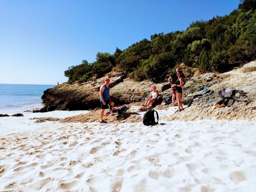 Lisbon: Arrábida Snorkeling Adventure - Honest Insights and Considerations