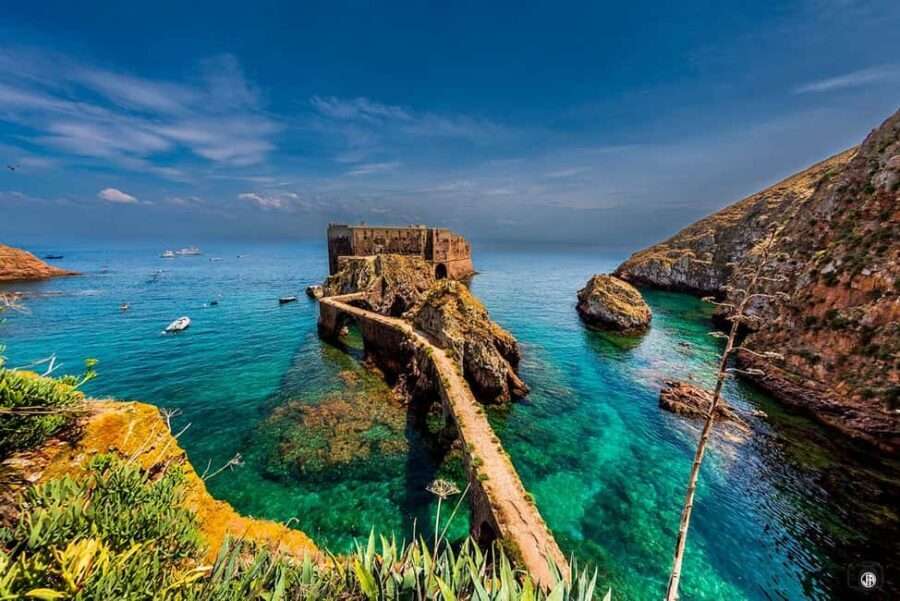 Lisbon: Berlengas, Peniche, and Mafra Private Day Trip - The Sum Up