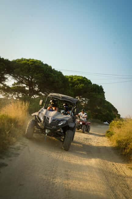 Lisbon Buggy Adventure: Hidden Trails, Cliffs & Coastline - The Overall Experience and Value