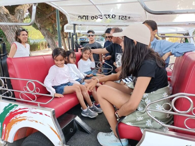 Lisbon: City Tour by Tuk Tuk - Who Is This Tour Best For?