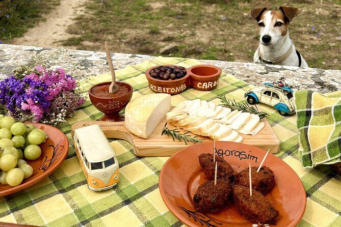 Lisbon Countryside Food Tour on Vintage Car - The Vehicles: Vintage Charm Meets Comfort